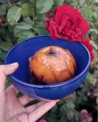 به با شیره انگور