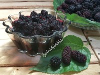 مربای توت سیاه