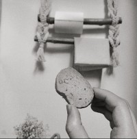 walnut cookie