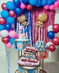 جشن تعیین جنسیت خواهرزادم ورق بزنید