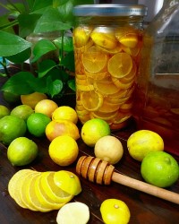 لیمو ترش شکری