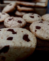 کوکی کاکائوی