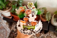 تولد گل پسرم.