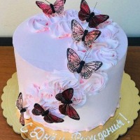 تولد استاد سراجی