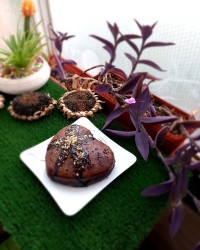 کیک شکلاتی دو تخم مرغی ورق زدنی