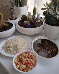 قورمه سبزی و سالاد شیرازی