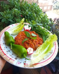 چالش _فاطمه_زمانی