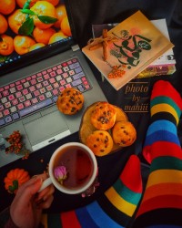 نان شکلاتی قالبی