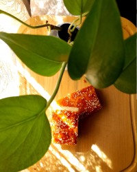 نون قندی با دستور خانم گل?