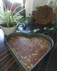 کیک کاکائو و گردو.