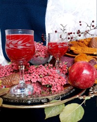 آب زرشک