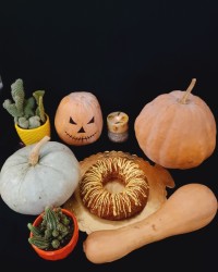 کیک کدوحلوایی خام با سس کدو حلوایی