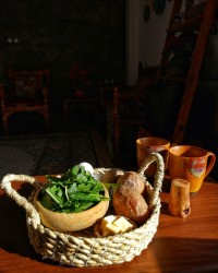 یرالما یومورتا❤