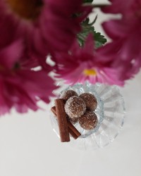 توپک خرما بمب انرژی