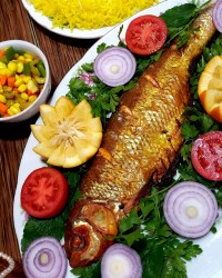 ماهی گرده بیج