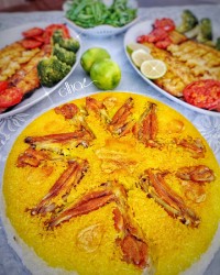 ته انداز بال مرغ