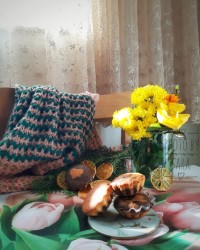 پای کیک دورنگ