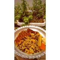 روز هایی از زندگی...