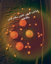 السلام علیک یا فاطمه الزهرا (س)