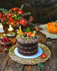 کیک شکلاتی با فیلینگ پنیری