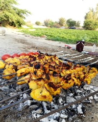 جوجه کباب لاری