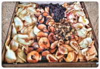 میوه خشک خانگی