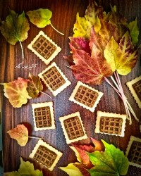 حلوای بیسکوییت