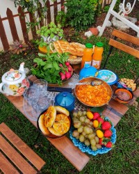 صبحانه در طبیعت ،ورق بزنید