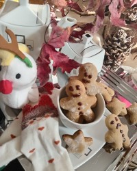 کوکی زنجبیلی