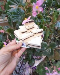 حلوای زنجبیل کاکائو ی