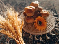 نان شکلاتی قالبی