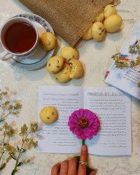 کوکی کشمشی وانیلی