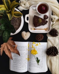 کیک خیس شکلاتی (ترکیه)