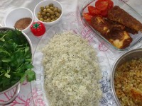 شویدپلوباماهی