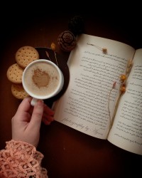 آغازی نو...✨️