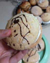 شیرینی لطیفه ورق بزن دوست گلم