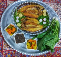 قاب نهار روز جمعه ماهی شوریده