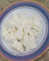 پنیر محلی