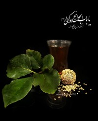یا باب الحوائج ادرکنی (علیه السلام) .....