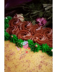 حلوا شیر❤️