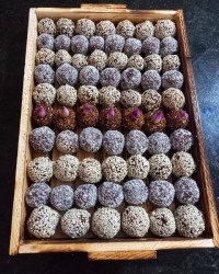 توپک خرمایی