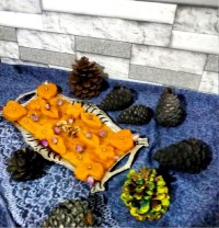 سلام شبتون بخیر شادی