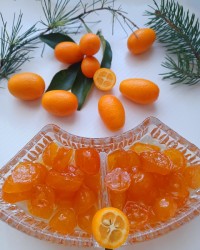 مربا کامکوات