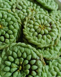 کلمپه پسته ای تدارکات مولودی حضرت علی اکبر عید همگی مبارک با دستور بسیار عالی کدبانوی کرمانی