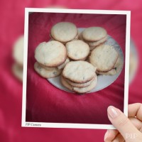 سلام فرمانده گل نرگسیها