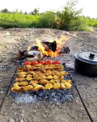 جوجه کباب لاری