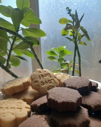 شیرینی سنتی سه آرد