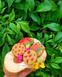 شیرینی رژیمی طرحدار