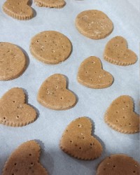 کوکی دانه چیا رژیمی