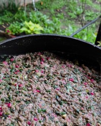 لونگی ماهی آستارا